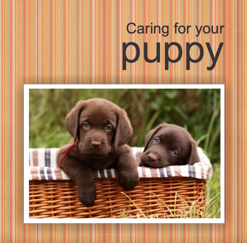 Dogs Health Guide E-book