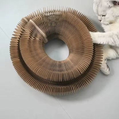 WhiskerWheel™