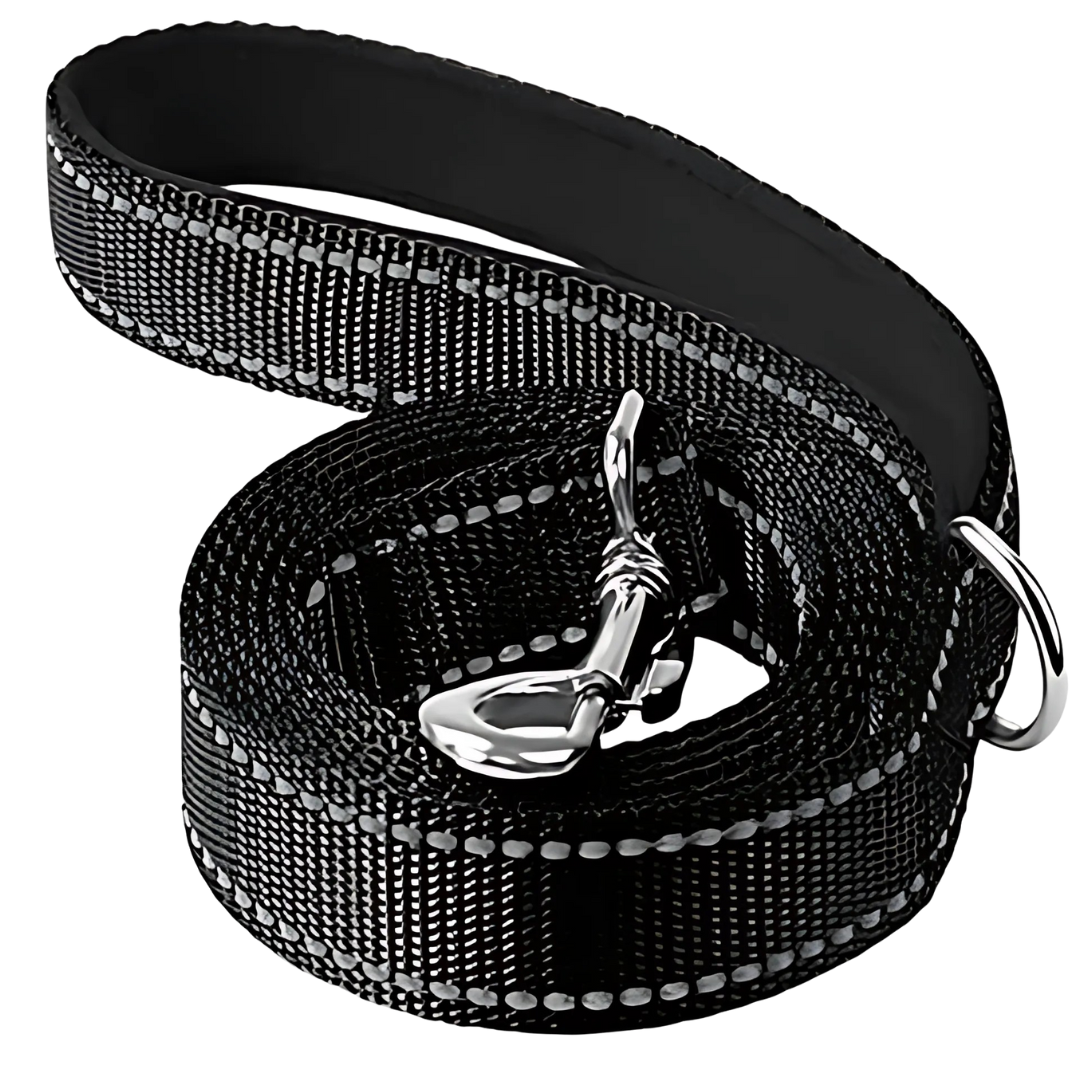 Premium Dog Leash